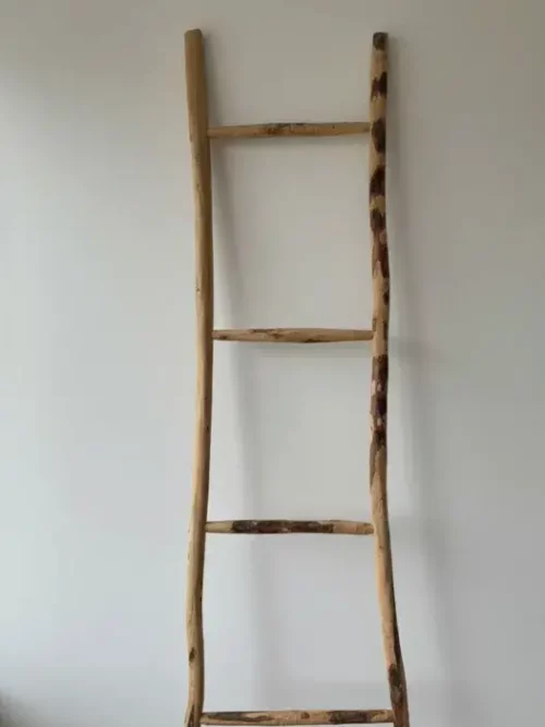 Échelle Décorative en Bois